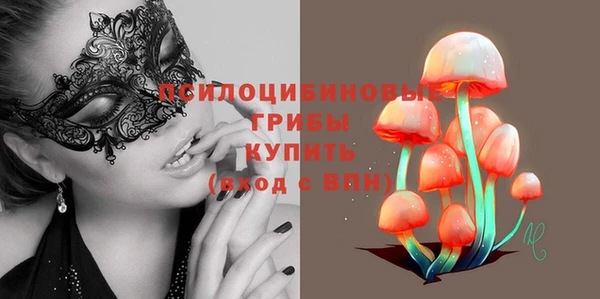 дурь Белокуриха