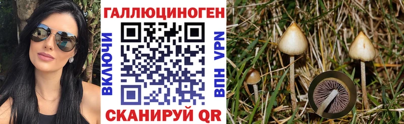 Псилоцибиновые грибы Psilocybe  MEGA ONION  Улан-Удэ 
