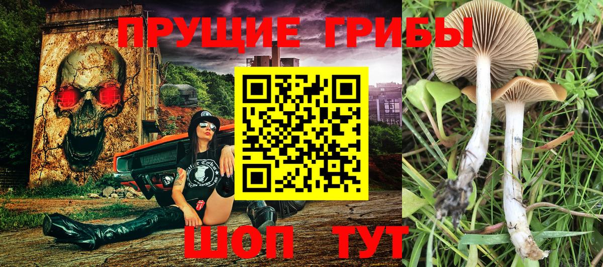 Псилоцибиновые грибы прущие грибы Улан-Удэ
