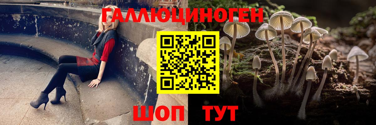 Псилоцибиновые грибы Psilocybe  Вход с VPN  Улан-Удэ 